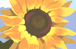 An illustration of a large sunflower. In front of blue-ish grey skies, its petals are warm & golden, framing the disc that’s composed of multiple seeds. The stem & its leaves are dark & green, highlighting the warmth of the petals even further.
